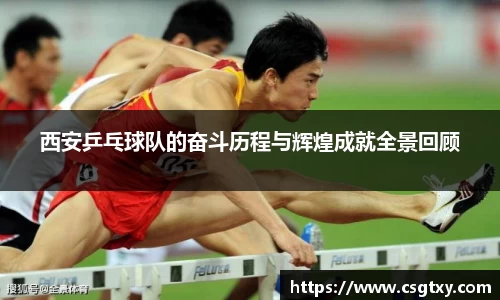 西安乒乓球队的奋斗历程与辉煌成就全景回顾