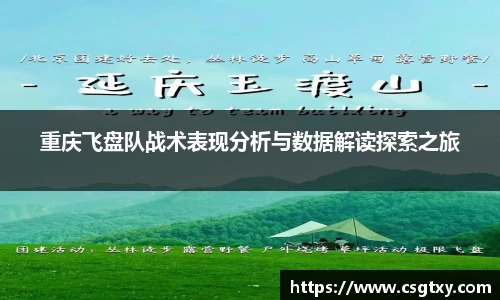 重庆飞盘队战术表现分析与数据解读探索之旅